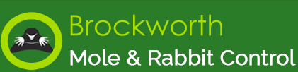 Brockworth Mole Control